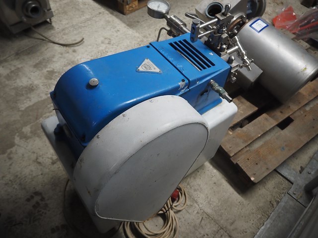 Rannie - afbeelding 4 van  10