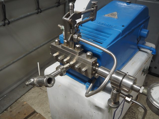 Rannie - afbeelding 7 van  10