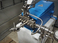 Rannie - afbeelding 7 van  10