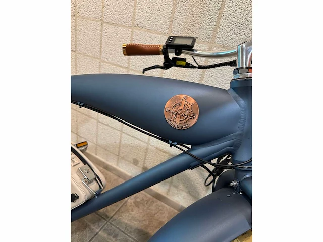 Rayvolt - beachin - elektrische fiets - afbeelding 3 van  6