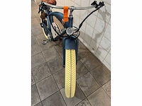 Rayvolt - beachin - elektrische fiets - afbeelding 2 van  6