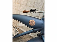 Rayvolt - beachin - elektrische fiets - afbeelding 3 van  6