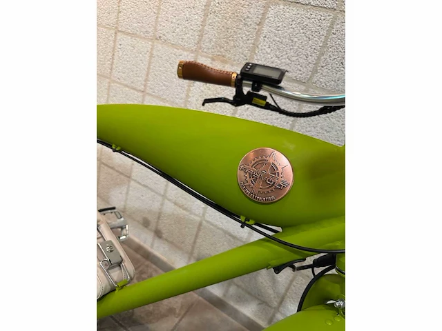 Rayvolt - beachin - elektrische fiets - afbeelding 3 van  5