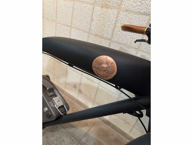 Rayvolt - clubman - elektrische fiets - afbeelding 3 van  6