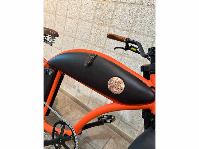 Rayvolt - cruzer - elektrische fiets - afbeelding 3 van  6