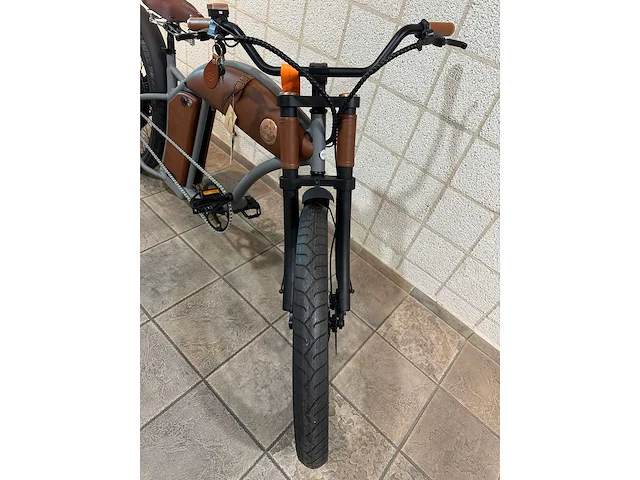 Rayvolt - cruzer - elektrische fiets - afbeelding 2 van  6