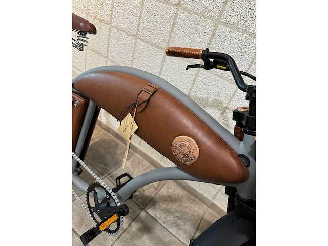 Rayvolt - cruzer - elektrische fiets - afbeelding 3 van  6
