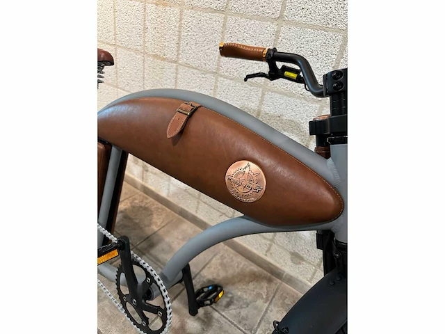 Rayvolt - cruzer - elektrische fiets - afbeelding 3 van  6
