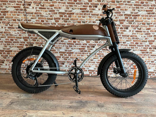 Rayvolt - ringo - elektrische fiets - afbeelding 1 van  7