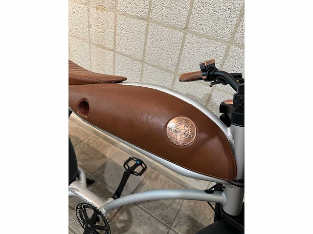 Rayvolt - ringo - elektrische fiets - afbeelding 3 van  7