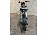 Rayvolt - ringo - elektrische fiets - afbeelding 6 van  7