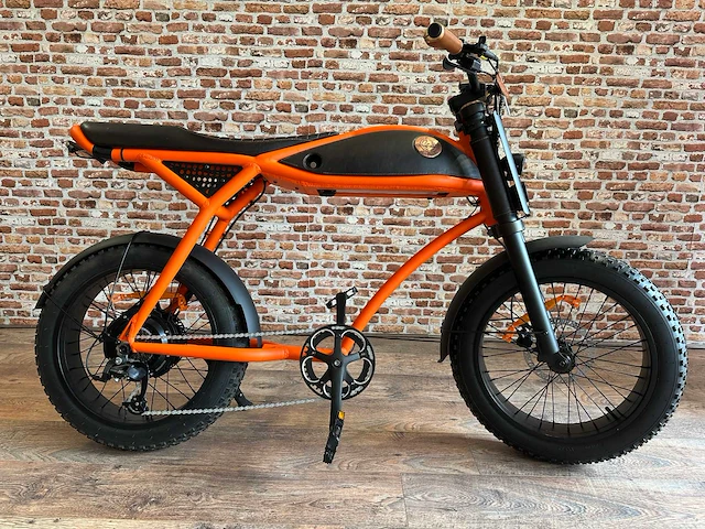 Rayvolt - ringo - elektrische fiets - afbeelding 1 van  7