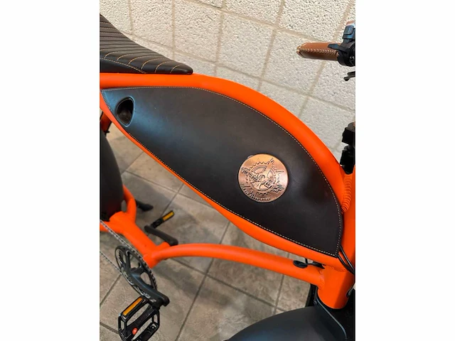 Rayvolt - ringo - elektrische fiets - afbeelding 3 van  7