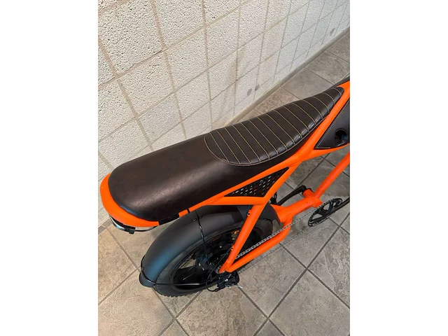 Rayvolt - ringo - elektrische fiets - afbeelding 5 van  7