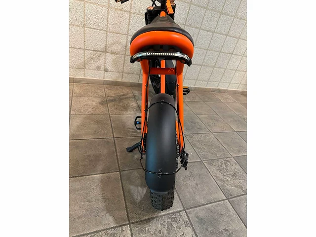 Rayvolt - ringo - elektrische fiets - afbeelding 6 van  7