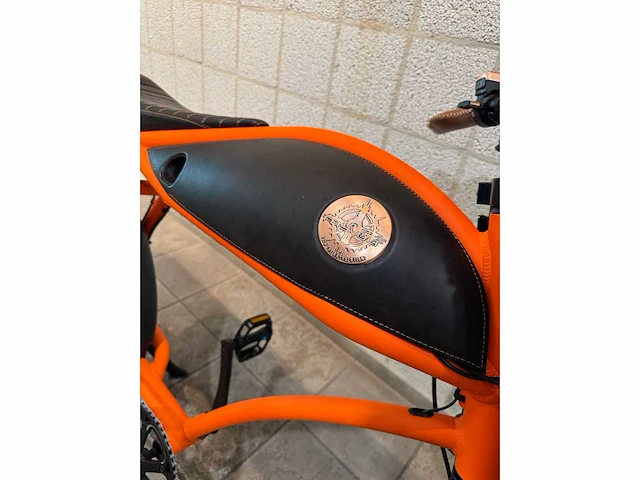 Rayvolt - ringo - elektrische fiets - afbeelding 3 van  7