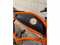 Rayvolt - ringo - elektrische fiets - afbeelding 3 van  7