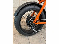 Rayvolt - ringo - elektrische fiets - afbeelding 4 van  7