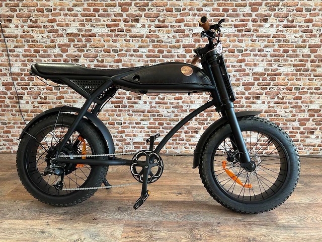 Rayvolt - ringo - elektrische fiets - afbeelding 1 van  7