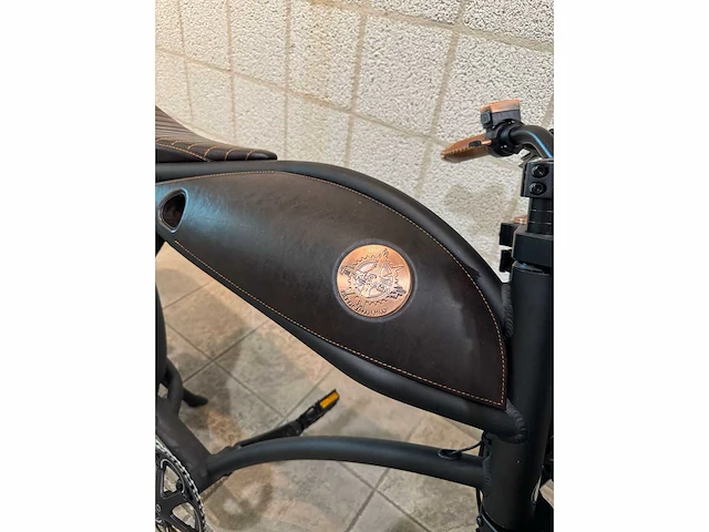 Rayvolt - ringo - elektrische fiets - afbeelding 3 van  7