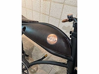 Rayvolt - ringo - elektrische fiets - afbeelding 3 van  7