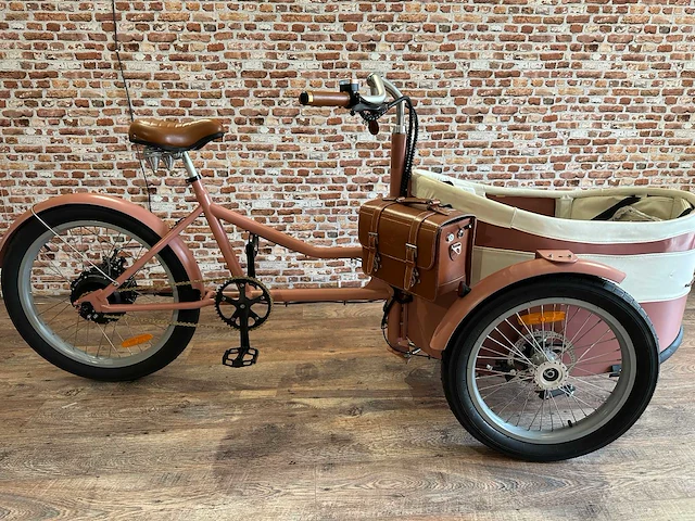 Rayvolt - trixie - electric bicycle - afbeelding 1 van  6