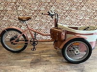 Rayvolt - trixie - electric bicycle - afbeelding 1 van  6