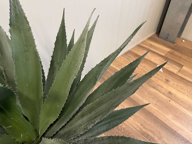 Real touch agave kunstplant (2x) (95cm hoog) - afbeelding 11 van  13