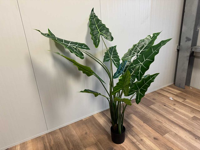 Real touch alocasia tree kunstplant (2x) (175cm hoog) - afbeelding 5 van  11