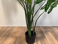 Real touch alocasia tree kunstplant (2x) (175cm hoog) - afbeelding 9 van  11