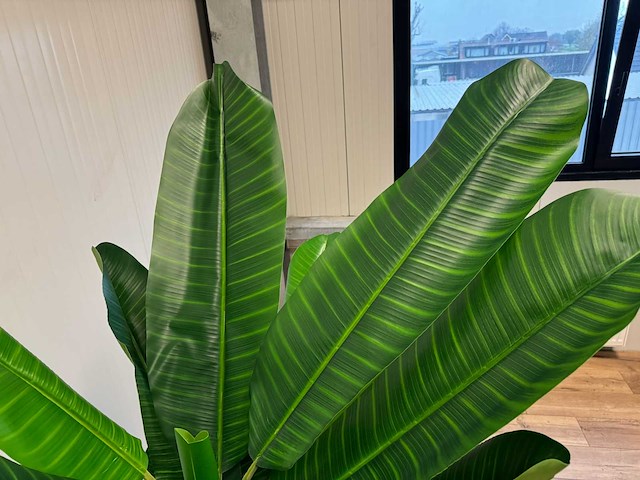 Real touch banana tree kunstplant (200cm hoog) - afbeelding 3 van  16