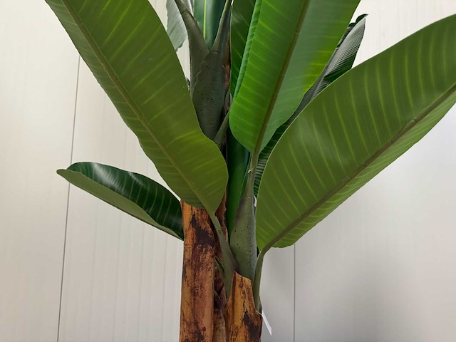 Real touch banana tree kunstplant (260cm hoog) - afbeelding 3 van  17