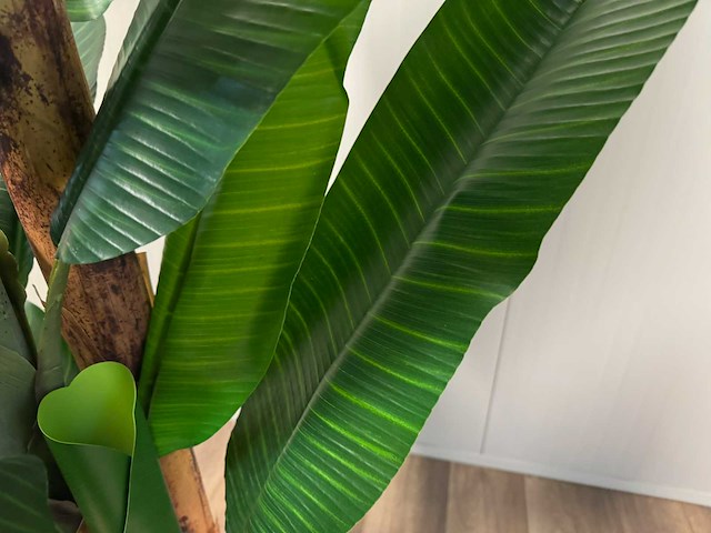 Real touch banana tree kunstplant (260cm hoog) - afbeelding 5 van  17
