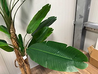Real touch banana tree kunstplant (2x) (185cm hoog) - afbeelding 4 van  14