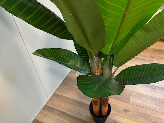 Real touch banana tree kunstplant (2x) (200cm hoog) - afbeelding 14 van  16