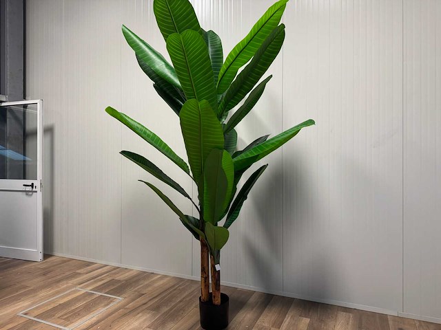 Real touch banana tree kunstplant (2x) (260cm hoog) - afbeelding 11 van  17