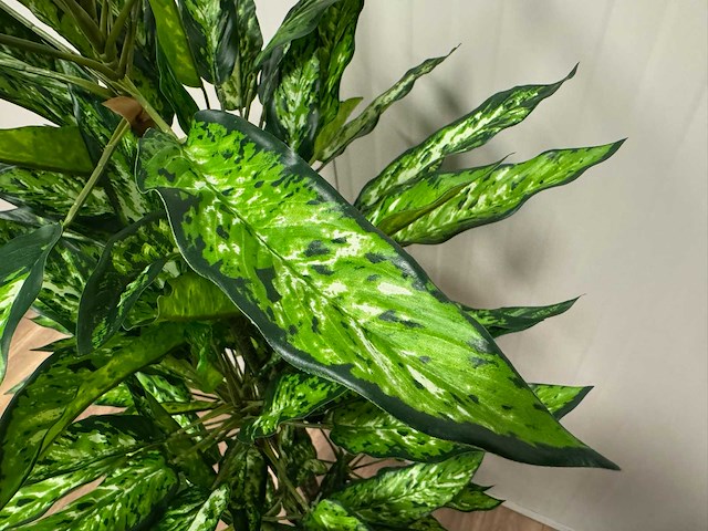 Real touch dieffenbachia kunstplant (2x) (160cm hoog) - afbeelding 14 van  15