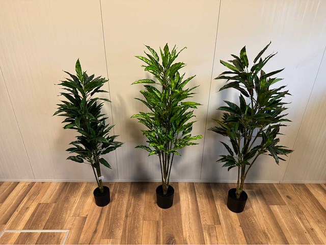 Real touch dieffenbachia kunstplant (3x) - afbeelding 4 van  10
