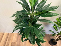 Real touch dieffenbachia kunstplant (3x) - afbeelding 6 van  10