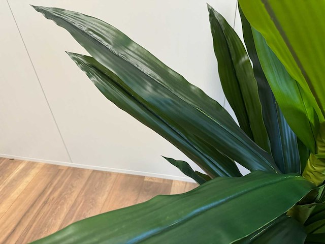 Real touch dracaena tree kunstplant (140cm hoog) - afbeelding 13 van  15