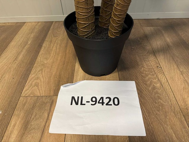 Real touch dracaena tree kunstplant (190cm hoog) - afbeelding 2 van  10