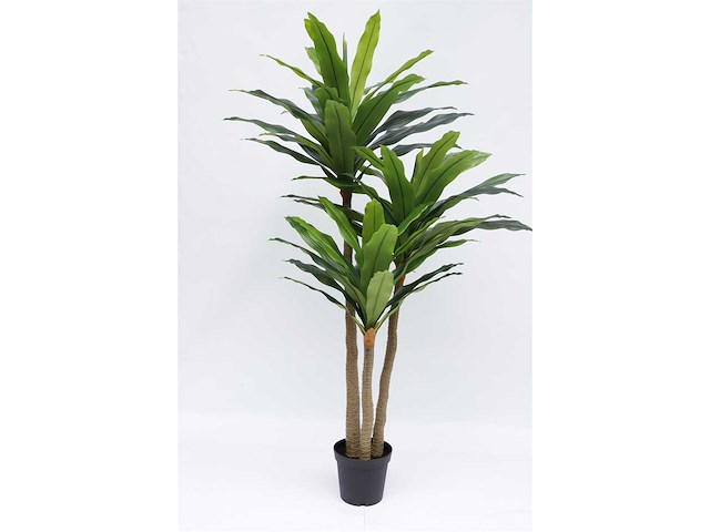 Real touch dracaena tree kunstplant (2x) (190cm hoog) - afbeelding 3 van  10