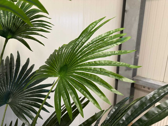 Real touch fan palm kunstplant (180cm hoog) - afbeelding 13 van  15