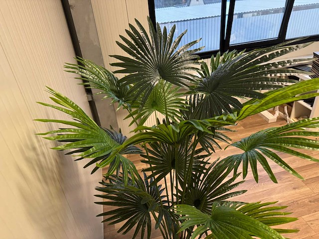 Real touch fan palm kunstplant (180cm hoog) - afbeelding 14 van  15