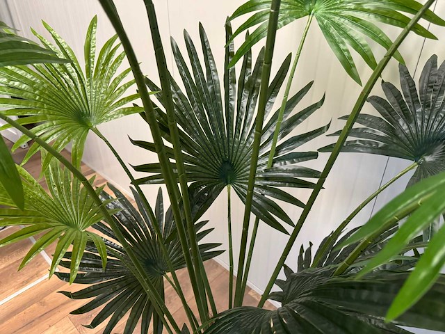 Real touch fan palm kunstplant (2x) (180cm hoog) - afbeelding 2 van  15