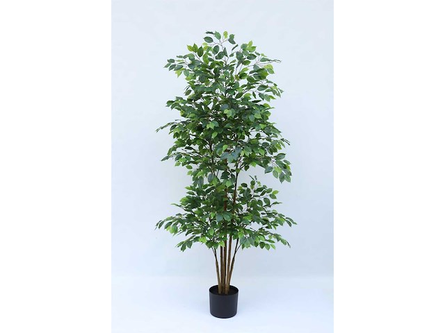 Real touch ficus kunstplant (210cm hoog) - afbeelding 7 van  14