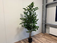 Real touch ficus kunstplant (210cm hoog) - afbeelding 9 van  14