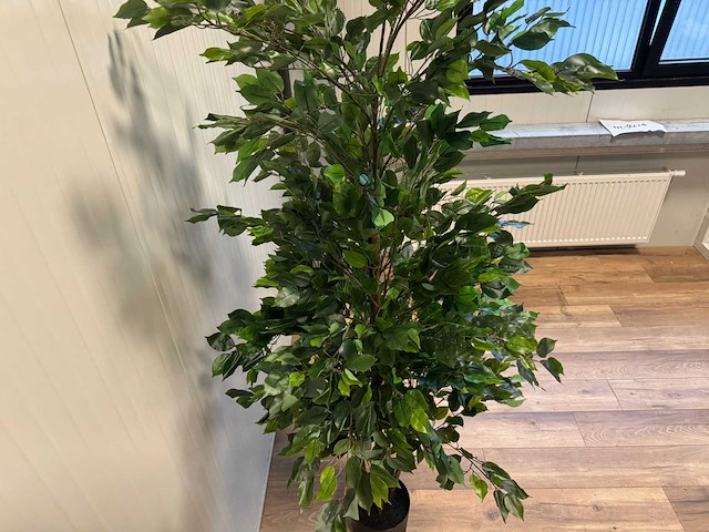 Real touch ficus kunstplant (210cm hoog) - afbeelding 12 van  14