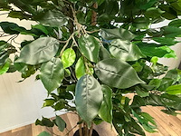 Real touch ficus kunstplant (2x) (210cm hoog) - afbeelding 2 van  14