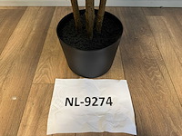 Real touch ficus kunstplant (2x) (210cm hoog) - afbeelding 6 van  14